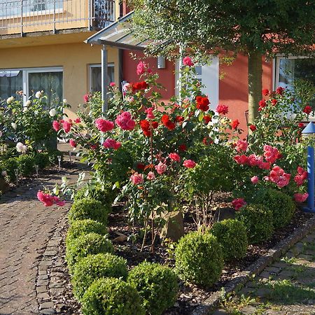 Ferienhaus Schloss-Garten Kapellen-Drusweiler المظهر الخارجي الصورة