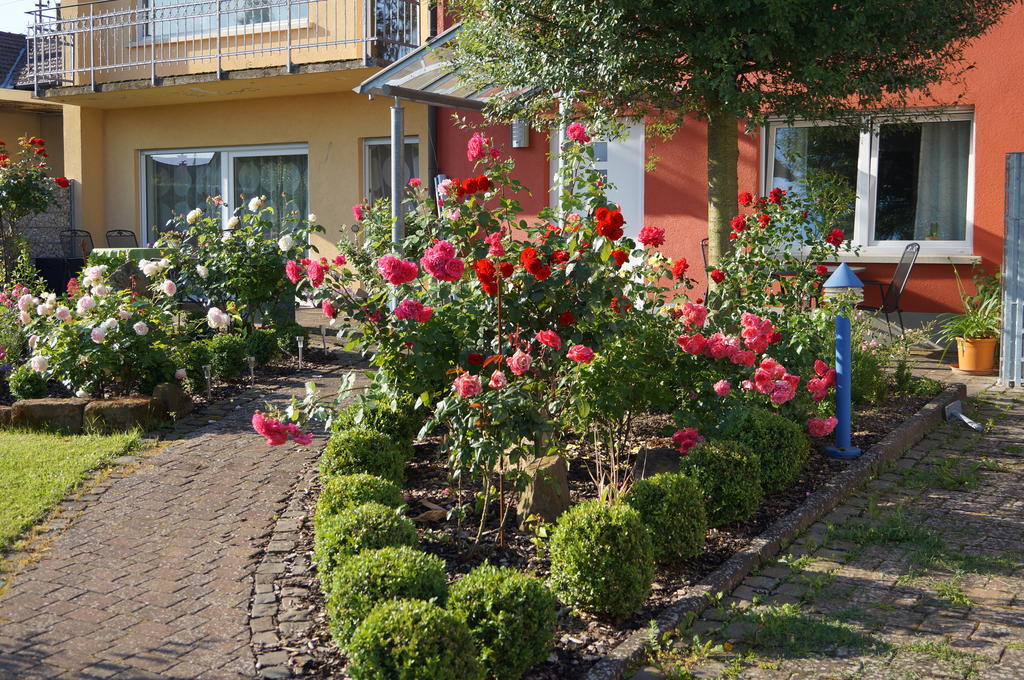 Ferienhaus Schloss-Garten Kapellen-Drusweiler المظهر الخارجي الصورة