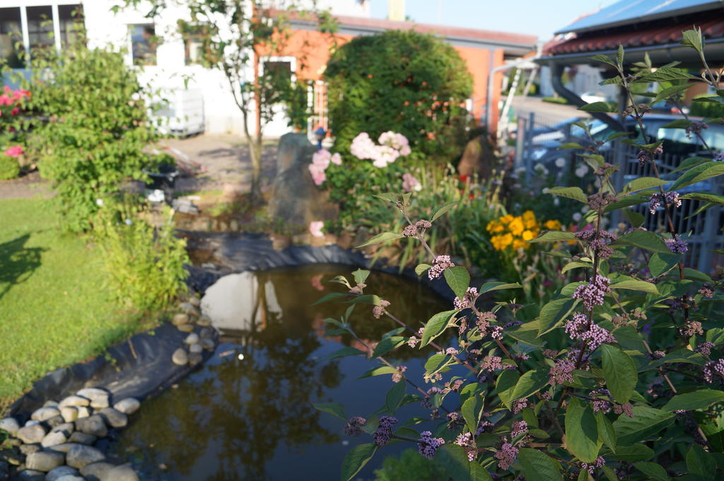 Ferienhaus Schloss-Garten Kapellen-Drusweiler المظهر الخارجي الصورة